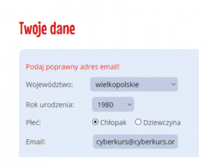 Obrazek posiada pusty atrybut alt; plik o nazwie image-6-300x235.png